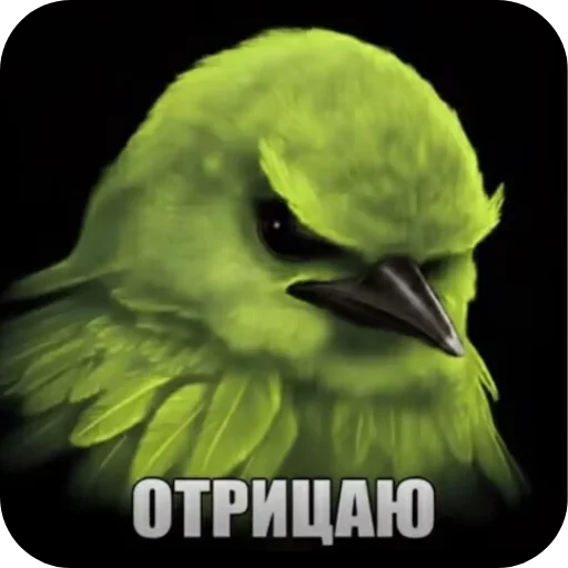 🐦 Стикер «птицы» для Telegram