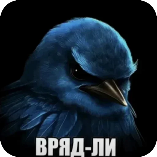 🐦 Стикер «птицы» для Telegram