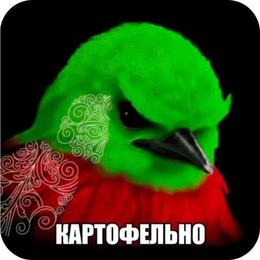 🖼 Стикер «птицы» для Telegram