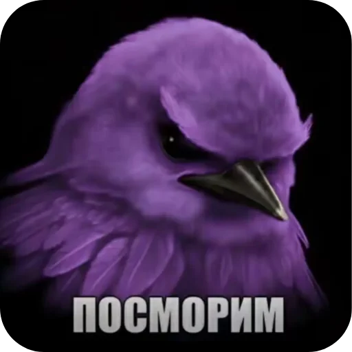 🌸 Стикер «птицы» для Telegram
