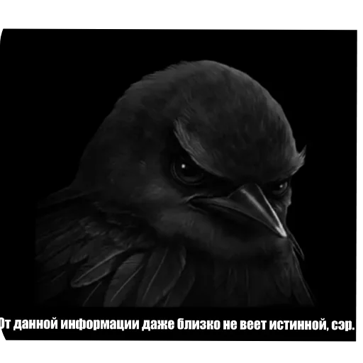 🐦 Стикер «птицы» для Telegram