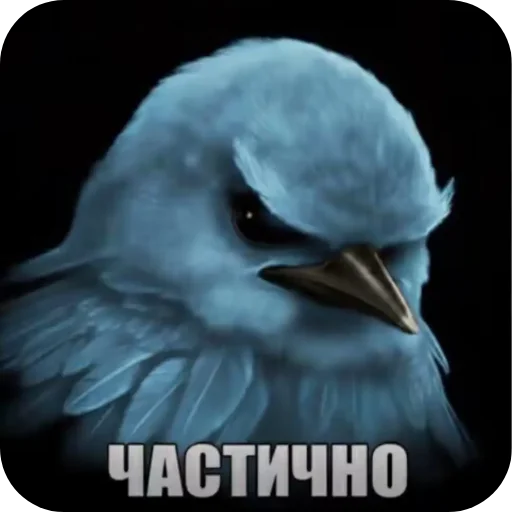 🐦 Стикер «птицы» для Telegram