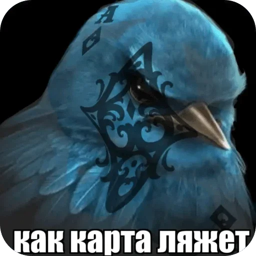 🌟 Стикер «птицы» для Telegram