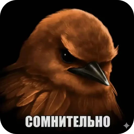 🐦 Стикер «птицы» для Telegram