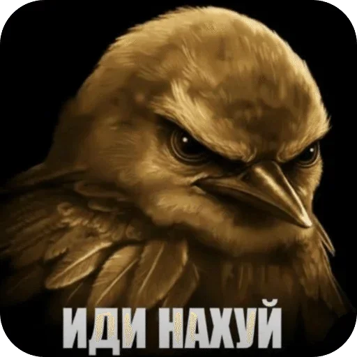 🌟 Стикер «птицы» для Telegram