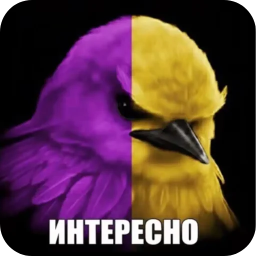 🐦 Стикер «птицы» для Telegram