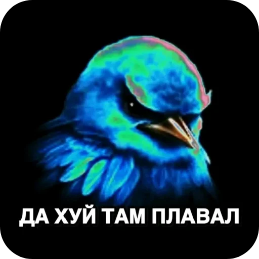 🐦 Стикер «птицы» для Telegram