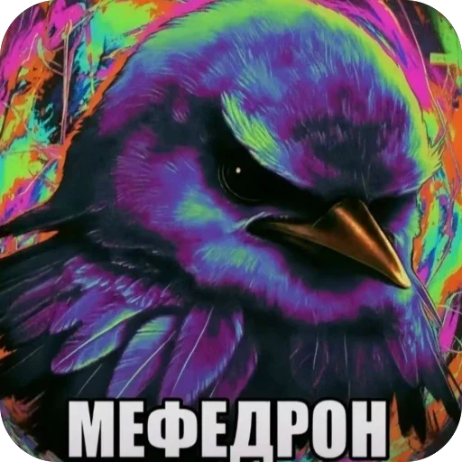 🫥 Стикер «птицы» для Telegram