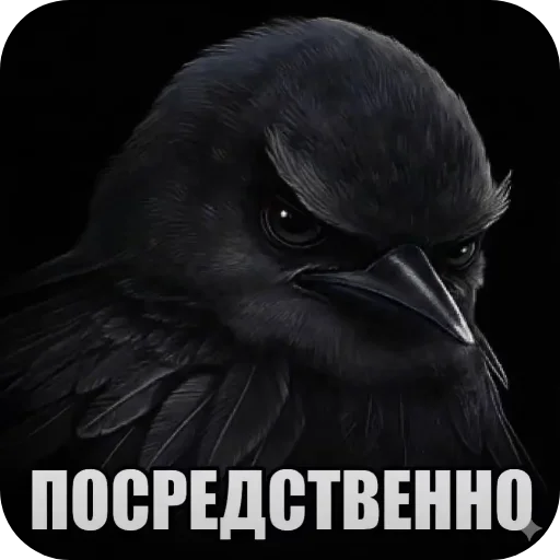 🐦 Стикер «птицы» для Telegram