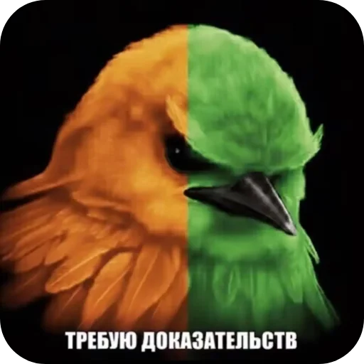👍 Стикер «птицы» для Telegram