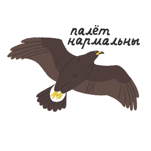 🦅 Стикер «ptushki» для Telegram