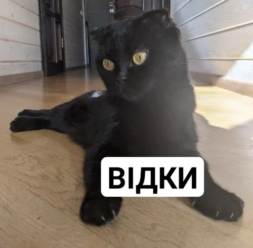 😳 Стикер «Пучечка» для Telegram