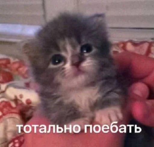 🧁 Стикер «пудинк» для Telegram