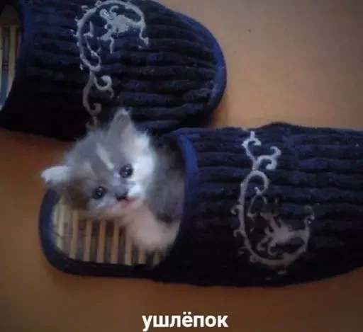 🍮 Стикер «пудинк» для Telegram