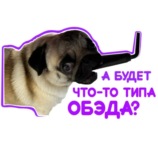 🤤 Стикер «Pug Chak-chak (мопс самец Чак-чак)» для Telegram