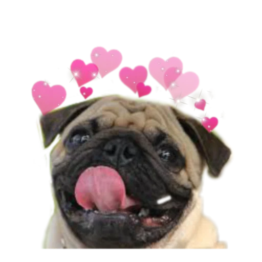 Стикерпак PUG для Telegram