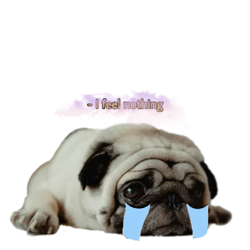 😭 Стикер «PUG» для Telegram