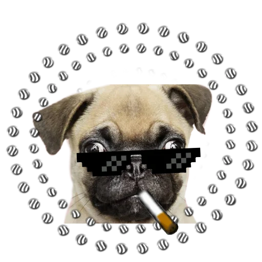 😎 Стикер «PUG» для Telegram