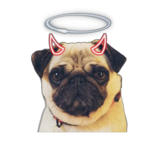 😇 Стикер «PUG» для Telegram