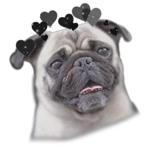 🥰 Стикер «PUG» для Telegram