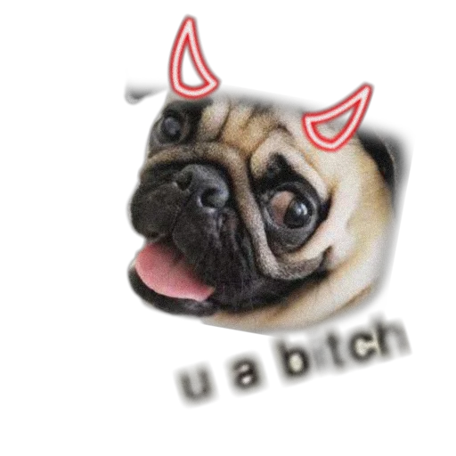 🖕 Стикер «PUG» для Telegram