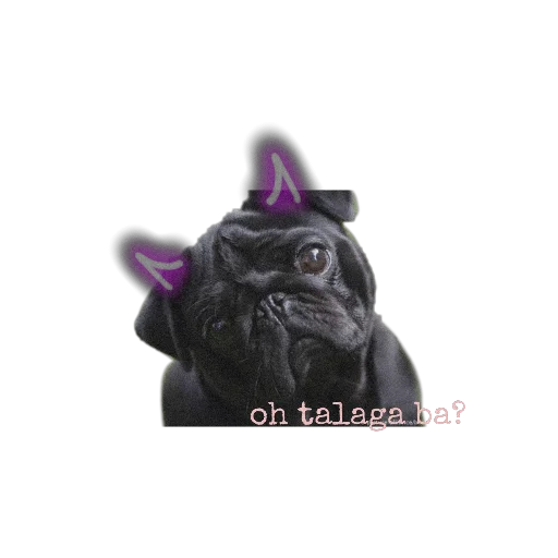 🤔 Стикер «PUG» для Telegram