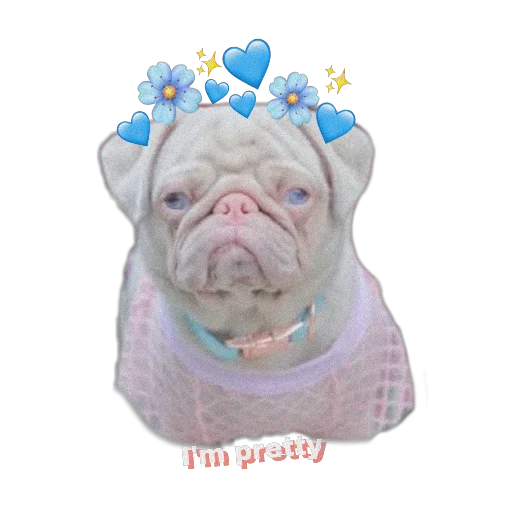 👸 Стикер «PUG» для Telegram