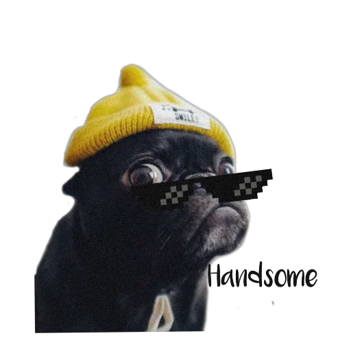 😎 Стикер «PUG» для Telegram