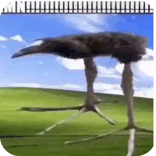 🥲 Стикер «Пукеко» для Telegram