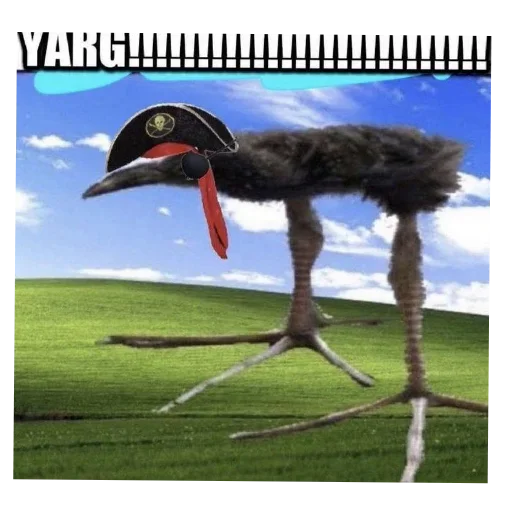 🐦 Стикер «Пукеко» для Telegram