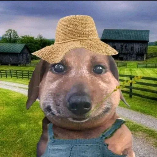👨‍🌾 Стикер «pukikaki» для Telegram