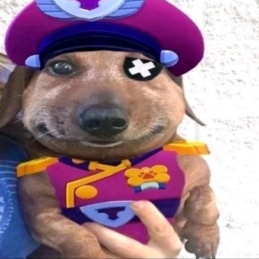 🐶 Стикер «pukikaki» для Telegram