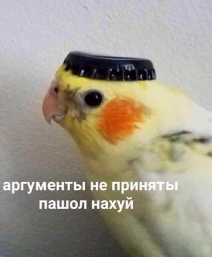 🤬 Стикер «pulsstick» для Telegram