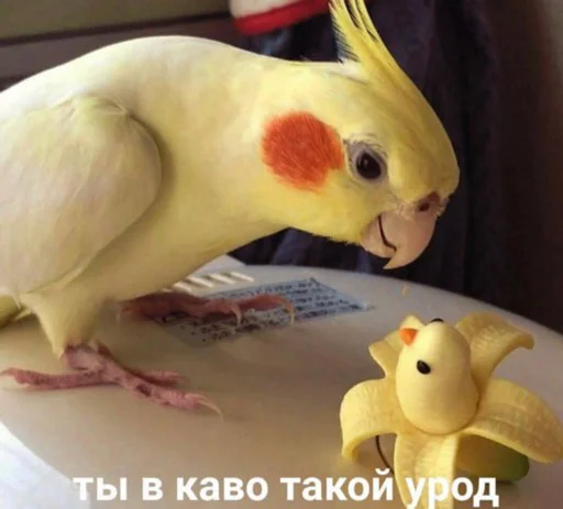 🤔 Стикер «pulsstick» для Telegram