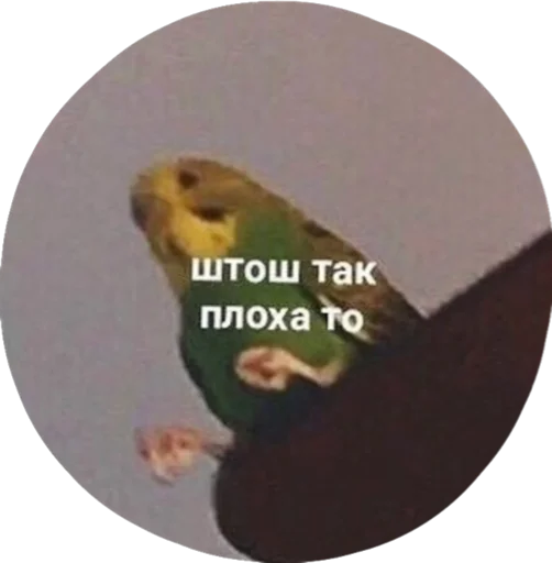 😢 Стикер «pulsstick» для Telegram