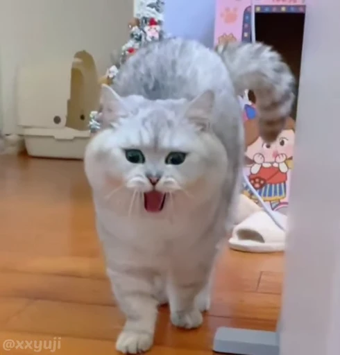 🐾 Стикер «Puppy and Kitty Vol.1» для Telegram