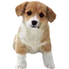 🐶 Эмодзи «puppycore» для Telegram