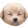 🐶 Эмодзи «puppycore» для Telegram