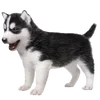 🐶 Эмодзи «puppycore» для Telegram