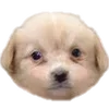 🐶 Эмодзи «puppycore» для Telegram