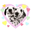 💕 Эмодзи «Puppycore ꒰ ₊˚ ⊹» для Telegram