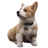 🐶 Эмодзи «Puppycore ꒰ ₊˚ ⊹» для Telegram