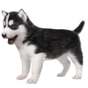 🐶 Эмодзи «Puppycore ꒰ ₊˚ ⊹» для Telegram