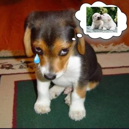 🐶 Стикер «puppy dogs» для Telegram