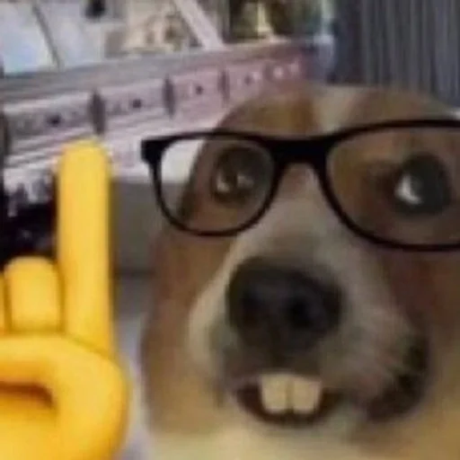 🐶 Стикер «puppy dogs» для Telegram