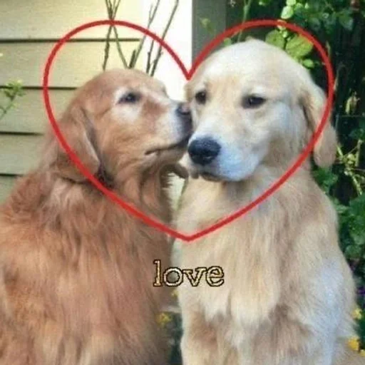 🐶 Стикер «puppy dogs» для Telegram
