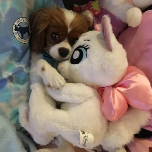 🐶 Стикер «puppy dogs» для Telegram