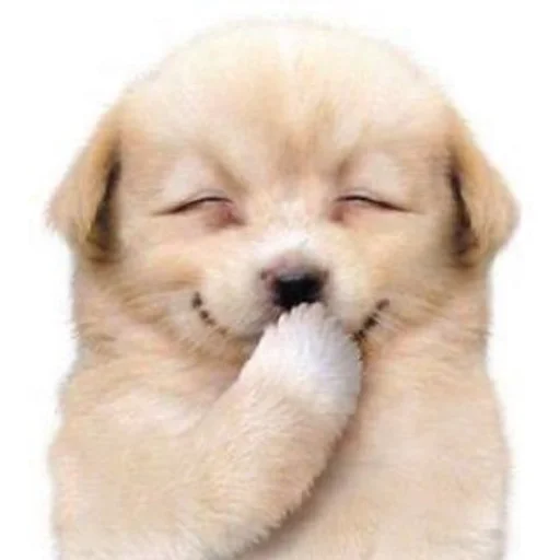 🐶 Стикер «puppy dogs» для Telegram