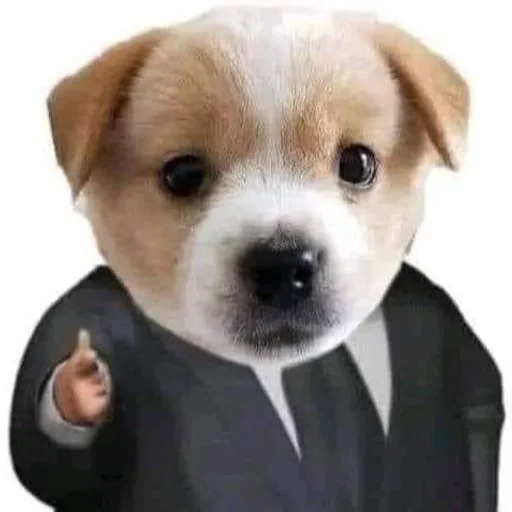 🐶 Стикер «puppy dogs» для Telegram
