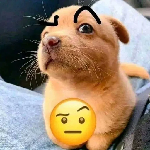 🐶 Стикер «puppy dogs» для Telegram